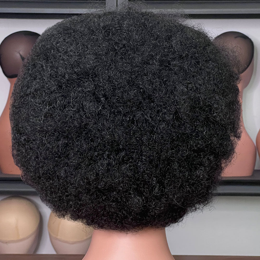 Short Afro Kinky Curly Braided Lace Front Wigs Human Hair Supplier in China